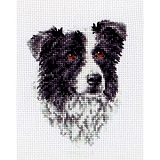 Купить недорого   Набор для вышивания Anchor "Border Collie" 11*8см, MEZ Венгрия, PCE219  в интернет магазине Фэмили хобби
